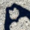 bs4ever4